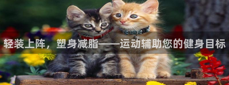 意昂体育4：轻装上阵，塑身减脂——运动辅助您的健身目标