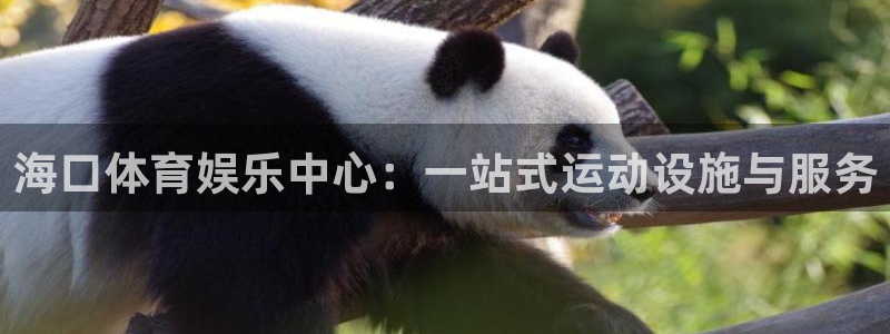 意昂4娱乐首页网站大全：海口体育娱乐中心：一站式运动