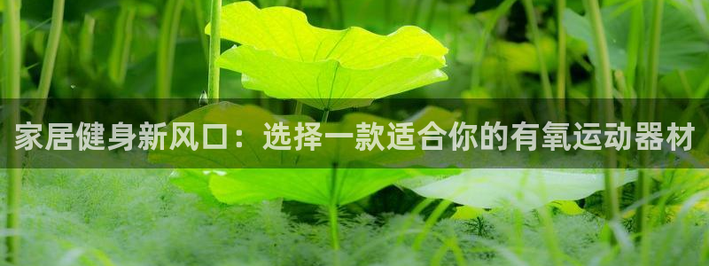 意昂4娱乐网站：家居健身新风口：选择一款适合你的有氧