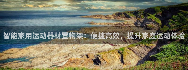 意昂4集团官网网址：智能家用运动器材置物架：便捷高效，提升家