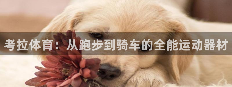 意昂4娱乐40996：考拉体育：从跑步到骑车的全能运