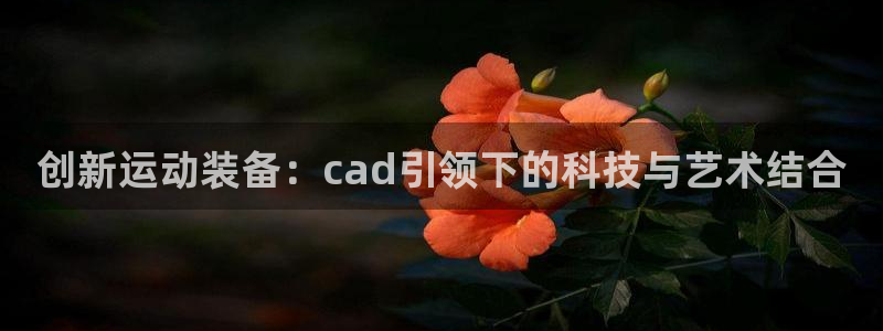 意昂4集团E.ON：创新运动装备：cad引领下的科技与艺术结
