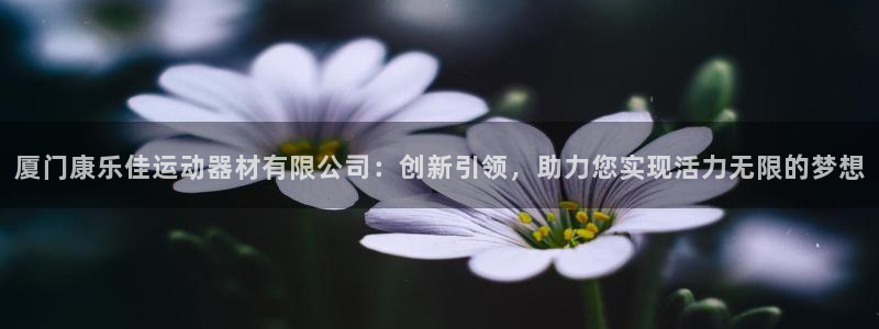 意昂体育4平台：厦门康乐佳运动器材有限公司：创新引领，助力您