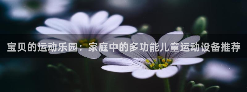 意昂4娱乐下载