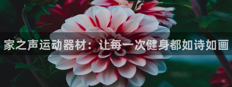 意昂体育4招商电话是多少啊