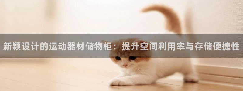 意昂体育4平台是正规平台吗知乎：新颖设计的运动器材储物柜：提