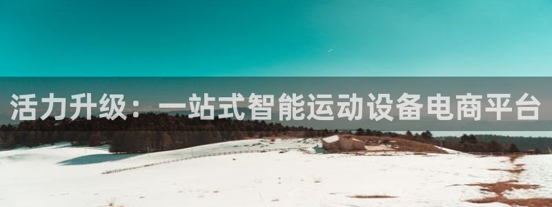 意昂4集团：活力升级：一站式智能运动设备电商平台