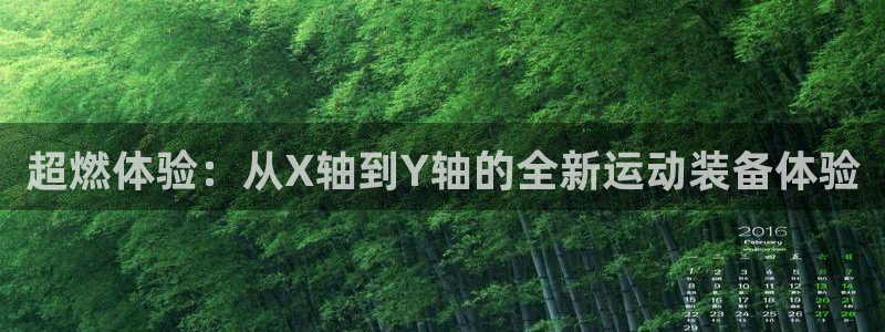 意昂体育4平台假的吗是真的吗吗：超燃体验：从X轴到Y轴的全新