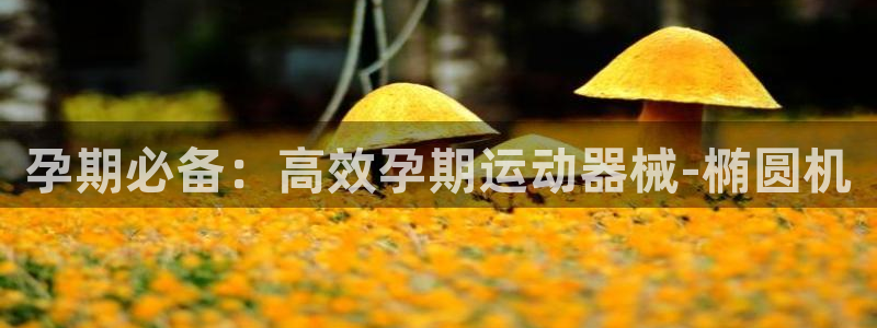 意昂体育4平台是正规平台吗安全吗：孕期必备：高效孕期运动器械