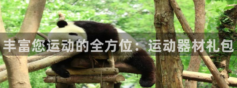 意昂4集团:丰富您运动的全方位:运动器材礼包